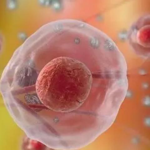 《人类分裂》全支线任务揭秘：揭秘触发时刻，错过等一年！