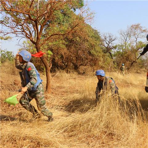 《地球防卫军4.1》全攻略揭秘：隐藏任务流程大揭秘！