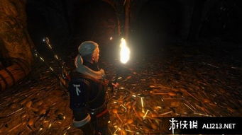 《巫师3》血与酒深度解析：揭秘黑桐谷歌背后的秘密！