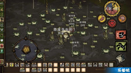 《饥荒联机版》老奶奶+温迪生存秘籍，解锁生存新境界！