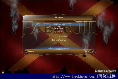 《神鬼寓言3》PC安装攻略：揭秘安装技巧，畅玩无阻！