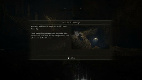 《艾尔登法环黑夜君临：无赖遗物攻略，如何选择？揭秘！》