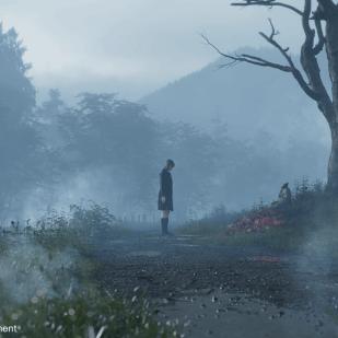 《寂静岭F》价格揭秘：揭秘神秘游戏售价！