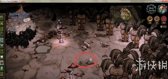 《《饥荒》联机速杀蛤蟆BOSS攻略!开局必看!蛤蟆BOSS怎么快速击败?》 《《饥荒》联机速杀蛤蟆BOSS攻略!开局必看!蛤蟆BOSS怎么快速击败?》