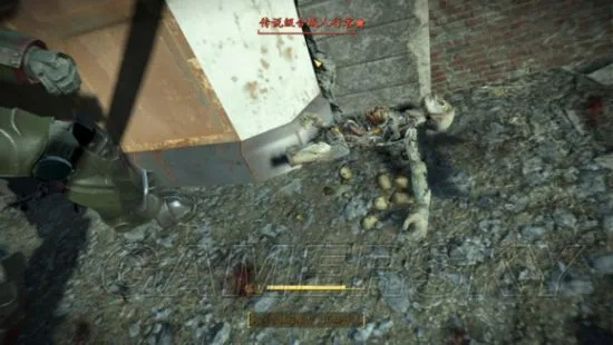 《辐射4》耐力流生存攻略：揭秘高耐力生存技巧，轻松通关！