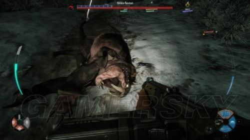 《进化Beta版击杀集锦:揭秘隐藏高手!》 《进化Beta版击杀集锦:揭秘隐藏高手!》