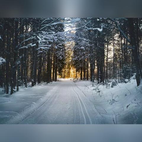 《绝区零》2.0新活动大揭秘!独家福利等你来抢!
《绝区零》2.0版本狂欢来袭,隐藏活动等你解锁!
《绝区零》2.0版本活动盘点,惊喜不断,你敢来挑战吗?
《绝区零》2.0版本全新活动曝光,独家攻略助你畅玩!
《绝区零》2.0新活动大揭秘!独家福利等你来抢!
《绝区零》2.0版本狂欢来袭,隐藏活动等你解锁!
《绝区零》2.0版本活动盘点,惊喜不断,你敢来挑战吗?
《绝区零》2.0版本全新活动曝光,独家攻略助你畅玩!