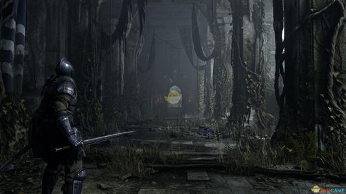 《恶魔之魂重制版》全戒指攻略:揭秘隐藏获取技巧! 《恶魔之魂重制版》全戒指攻略:揭秘隐藏获取技巧!