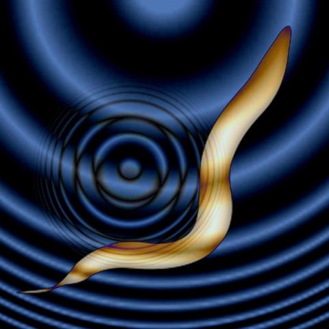 《揭秘！活体脑细胞(SOMA)全剧情攻略，深度解析每一步》