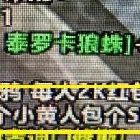 《龙腾世纪：起源》盗贼秘技大揭秘！揭秘传奇技能，解锁潜行奥秘