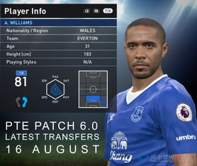 《PES2017德甲补丁独家揭秘！玩转德甲，你准备好了吗？》