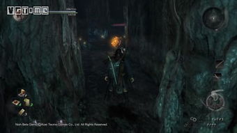 《仁王》Beta测试版全木灵位置揭秘!独家视频攻略,速来一探究竟! 《仁王》Beta测试版全木灵位置揭秘!独家视频攻略,速来一探究竟!