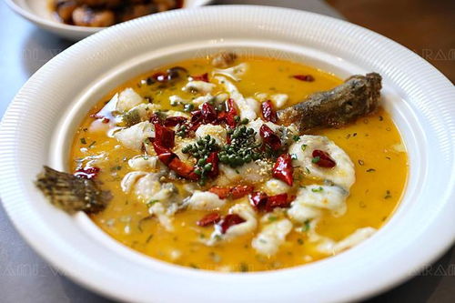 《戴夫潜水员金枪鱼盛宴:独家菜品选择指南》 《戴夫潜水员金枪鱼盛宴:独家菜品选择指南》