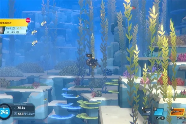 《戴夫潜水攻略:高效海鳝捕捞技巧揭秘》 《戴夫潜水攻略:高效海鳝捕捞技巧揭秘》