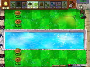 《植物大战僵尸》无炮流攻略：轻松突破2000分大关