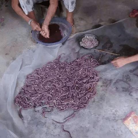 《心动小镇》春季寻宝：揭秘第3周4大虫子藏身之地