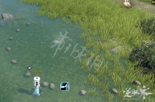 《逆水寒》金叶子攻略:高效寻叶技巧,地图全位置揭秘 《逆水寒》金叶子攻略:高效寻叶技巧,地图全位置揭秘