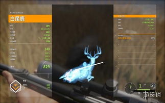 《猎人野性呼唤》全地图攻略:美欧西伯利亚任务详解 《猎人野性呼唤》全地图攻略:美欧西伯利亚任务详解