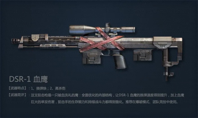 《全球使命3》DSR-1连狙:战场霸主性能解析 《全球使命3》DSR-1连狙:战场霸主性能解析