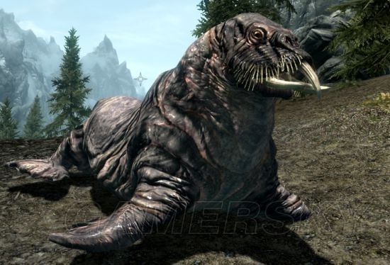 《上古卷轴》全生物图鉴：揭秘神秘种族秘闻