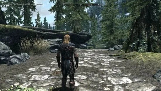 《上古卷轴5》植物图鉴:详尽植物资料大全揭秘 《上古卷轴5》植物图鉴:详尽植物资料大全揭秘