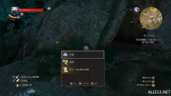 《巫师3血与酒染色剂配方速查！全配方位置揭秘》