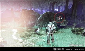 《神鬼寓言3》全地精宝藏攻略:隐藏秘境大揭秘 《神鬼寓言3》全地精宝藏攻略:隐藏秘境大揭秘