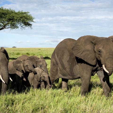 《巴尔的遗产》新手必看:系统详解与入门攻略揭秘 《巴尔的遗产》新手必看:系统详解与入门攻略揭秘