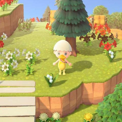 《动物森友会》花卉杂交布局攻略:打造完美花园秘籍 《动物森友会》花卉杂交布局攻略:打造完美花园秘籍