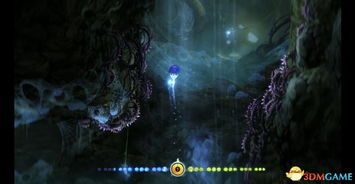 奥日：黑暗森林全攻略视频教程，全程流程解析