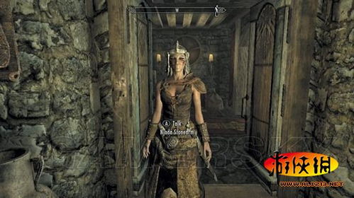 《上古卷轴5》招募强力同伴！必备条件揭秘！