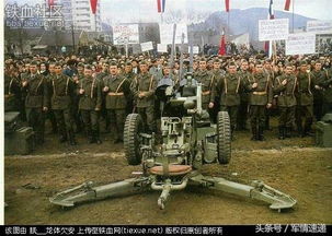 《断箭Sead攻略:高效对地防空压制技巧揭秘》 《断箭Sead攻略:高效对地防空压制技巧揭秘》