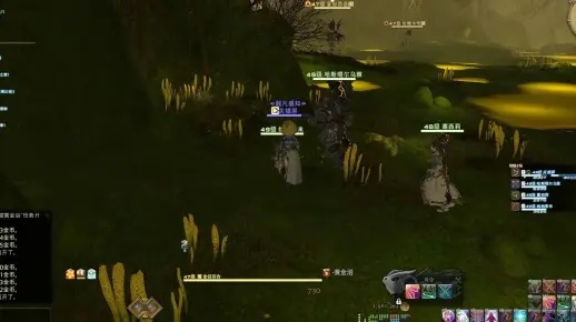 《FF14水晶世界》毒雾洞窟黄金谷攻略：高效通关秘籍！
