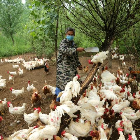 《孤岛惊魂5》钓鱼高手必看：隐藏困难鱼点位置全揭秘