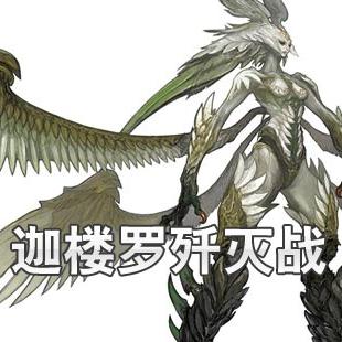 《FF14水晶世界迦楼罗战攻略:高效通关秘籍》 《FF14水晶世界迦楼罗战攻略:高效通关秘籍》