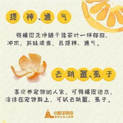 《绝区零》橘福福快速提升攻略：高效培养技巧揭秘