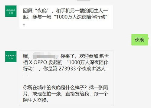 《情感反诈模拟器全攻略:解锁故事线收集秘籍》 《情感反诈模拟器全攻略:解锁故事线收集秘籍》