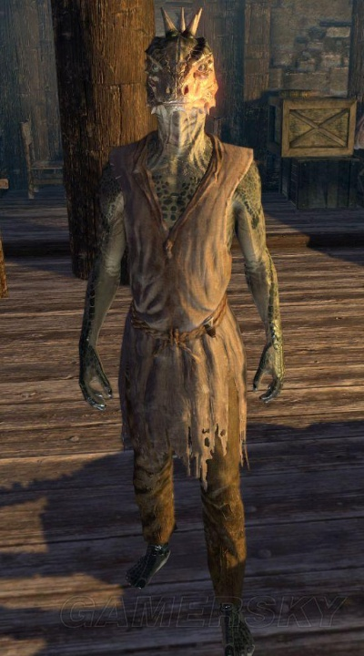 上古卷轴5亚龙人图鉴:揭秘全亚龙人传奇故事 上古卷轴5亚龙人图鉴:揭秘全亚龙人传奇故事