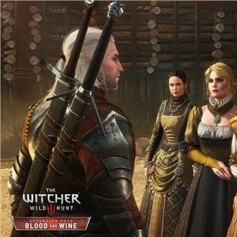 《巫师3血与酒》最高难度攻略：血与酒全流程解说视频