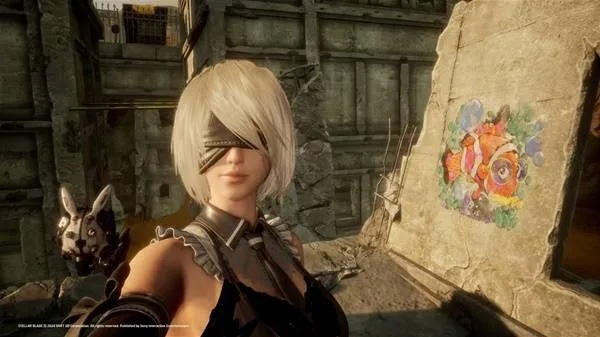 《剑星双鱼拍照秘境曝光》