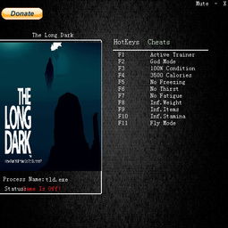 《漫漫长夜全物品解析：药品与衣物功效揭秘》