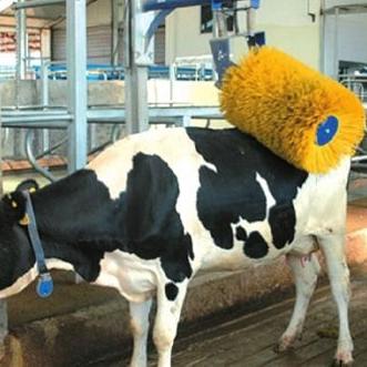 《动物栏桌面牧场》1.5.1新版本大揭秘!升级亮点抢先看 《动物栏桌面牧场》1.5.1新版本大揭秘!升级亮点抢先看