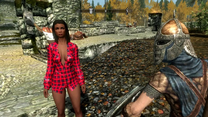 上古卷轴5天际MOD安装避坑攻略:新手必看黑名单大揭秘 上古卷轴5天际MOD安装避坑攻略:新手必看黑名单大揭秘