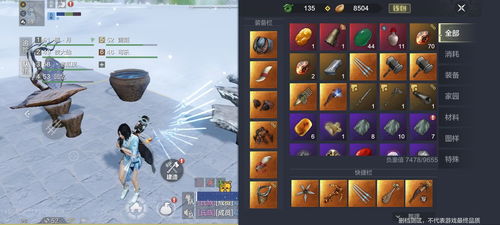 《矛隼新手攻略：高效打法与操作技巧揭秘》