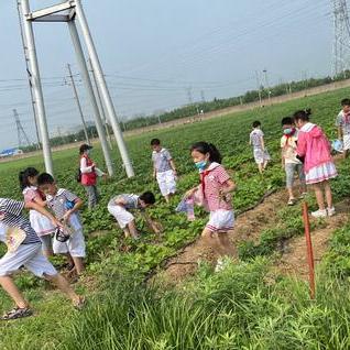 解限机手机畅玩攻略：解锁新体验，畅游无界限