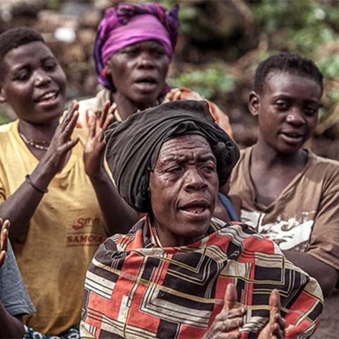 《深度解析：森林之子地图隐藏点位攻略》