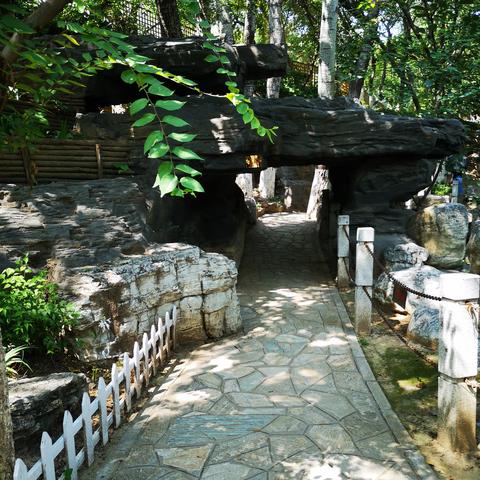 《深度解析：森林之子地图隐藏点位攻略》