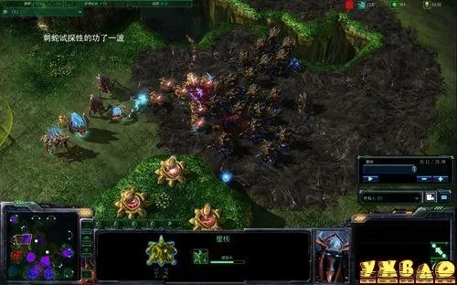 《星际争霸2》富龙战术深度解析：实战技巧全揭秘