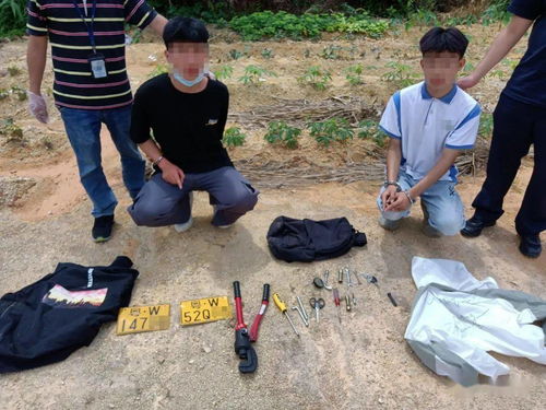 《千子树结局揭秘:纸嫁衣8隐藏彩蛋大揭秘》 《千子树结局揭秘:纸嫁衣8隐藏彩蛋大揭秘》