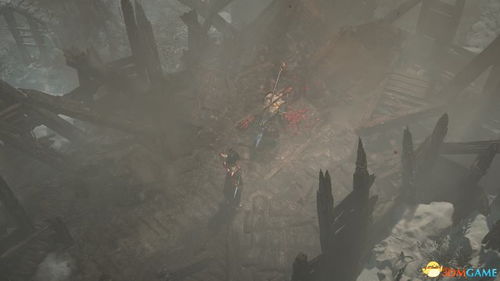 《暗黑4》第九赛季德鲁伊毒拍熊BD攻略：全面解析！